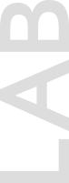 lab