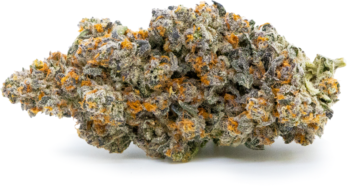 bud